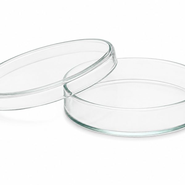 Petri Dish