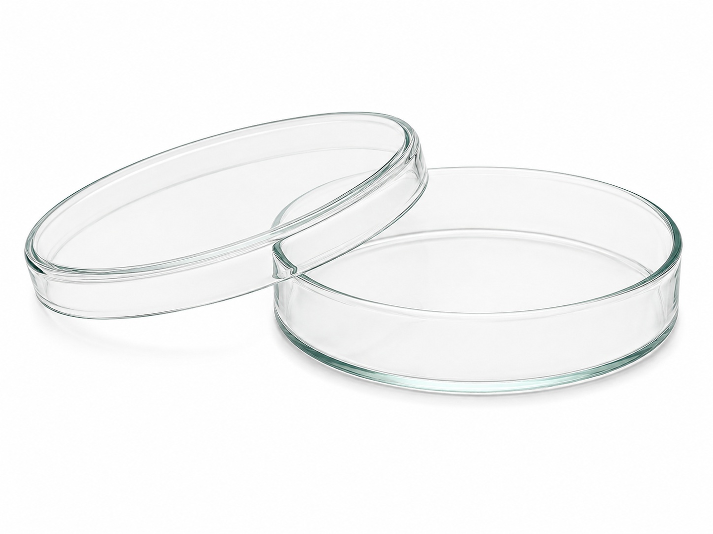 Petri Dish